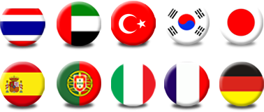 Flags representing Sanseking markets worldwide